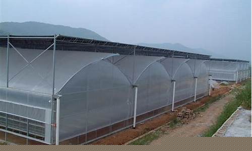 建一亩塑料大棚的造价(大棚建设塑料大棚造价)_https://www.huakunhengjia.com_期货资讯_第1张