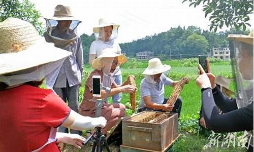金山农民股市直播室(金山农民股市直播室在哪)_https://www.huakunhengjia.com_期货资讯_第1张