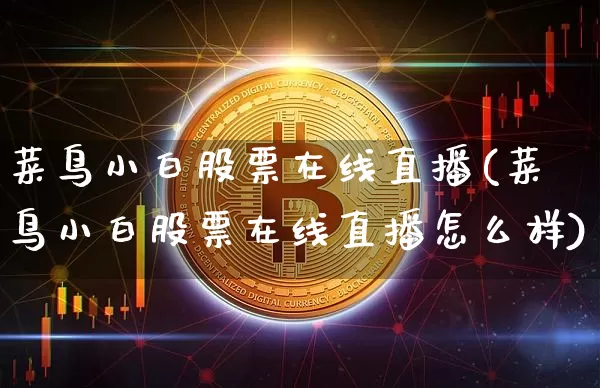 菜鸟小白股票在线直播(菜鸟小白股票在线直播怎么样)_https://www.huakunhengjia.com_股票资讯_第1张
