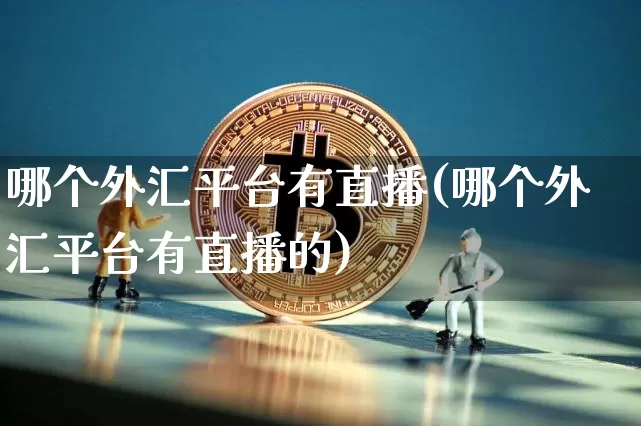 哪个外汇平台有直播(哪个外汇平台有直播的)_https://www.huakunhengjia.com_期货资讯_第1张