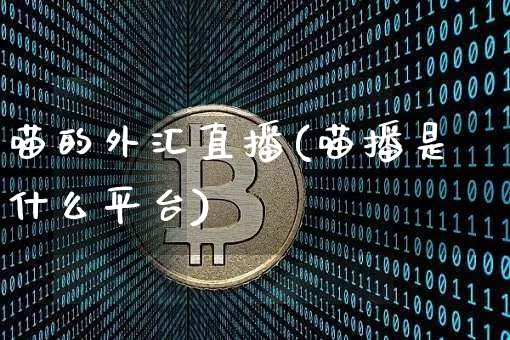 喵的外汇直播(喵播是什么平台)_https://www.huakunhengjia.com_金融资讯_第1张