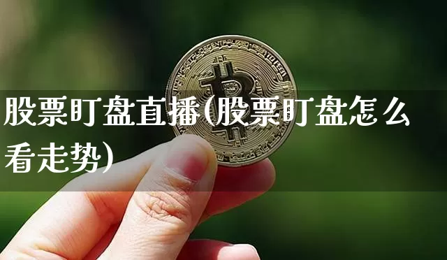 股票盯盘直播(股票盯盘怎么看走势)_https://www.huakunhengjia.com_财经资讯_第1张