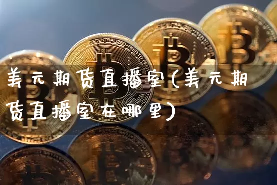 美元期货直播室(美元期货直播室在哪里)_https://www.huakunhengjia.com_金融资讯_第1张