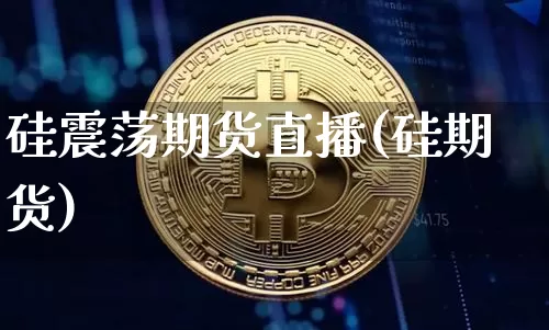 硅震荡期货直播(硅期货)_https://www.huakunhengjia.com_股票资讯_第1张