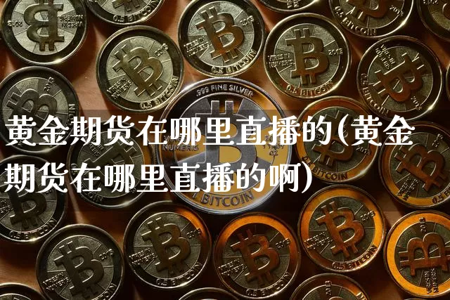 黄金期货在哪里直播的(黄金期货在哪里直播的啊)_https://www.huakunhengjia.com_期货资讯_第1张