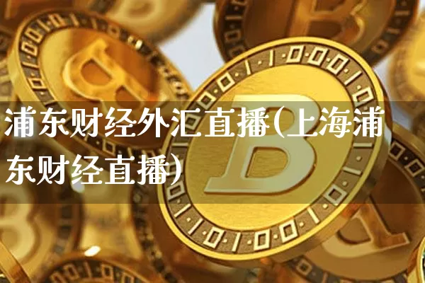 浦东财经外汇直播(上海浦东财经直播)_https://www.huakunhengjia.com_金融资讯_第1张