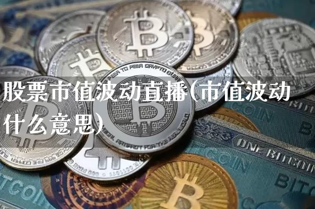 股票市值波动直播(市值波动什么意思)_https://www.huakunhengjia.com_金融资讯_第1张