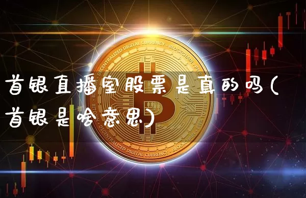 首银直播室股票是真的吗(首银是啥意思)_https://www.huakunhengjia.com_股票资讯_第1张