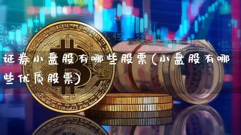 证券小盘股有哪些股票(小盘股有哪些优质股票)_https://www.huakunhengjia.com_财经资讯_第1张