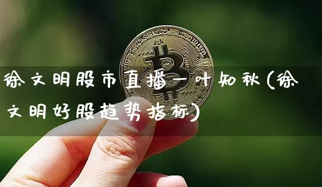 徐文明股市直播一叶知秋(徐文明好股趋势指标)_https://www.huakunhengjia.com_期货资讯_第1张