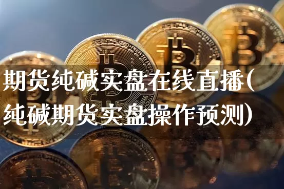 期货纯碱实盘在线直播(纯碱期货实盘操作预测)_https://www.huakunhengjia.com_期货资讯_第1张