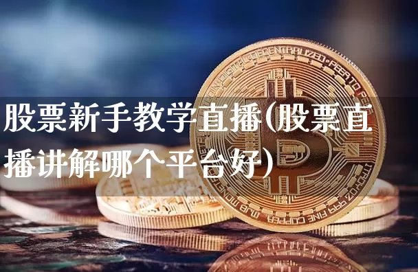股票新手教学直播(股票直播讲解哪个平台好)_https://www.huakunhengjia.com_金融资讯_第1张