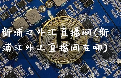 新浦江外汇直播间(新浦江外汇直播间在哪)_https://www.huakunhengjia.com_金融资讯_第1张