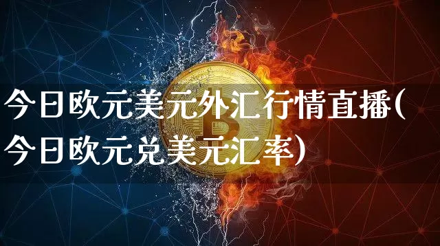 今日欧元美元外汇行情直播(今日欧元兑美元汇率)_https://www.huakunhengjia.com_期货资讯_第1张