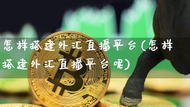 怎样搭建外汇直播平台(怎样搭建外汇直播平台呢)_https://www.huakunhengjia.com_金融资讯_第1张