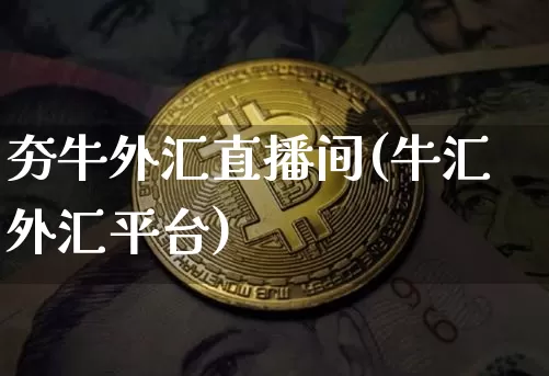 夯牛外汇直播间(牛汇外汇平台)_https://www.huakunhengjia.com_金融资讯_第1张
