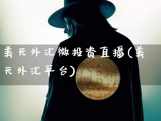 美元外汇微投资直播(美元外汇平台)_https://www.huakunhengjia.com_金融资讯_第1张