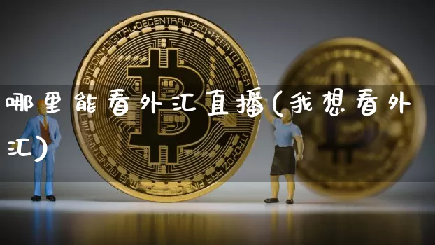 哪里能看外汇直播(我想看外汇)_https://www.huakunhengjia.com_期货资讯_第1张