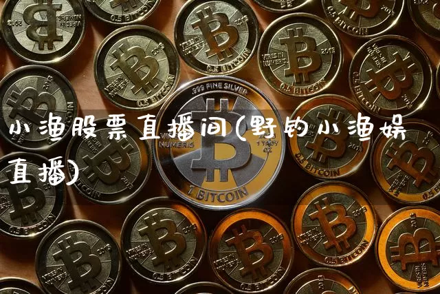 小渔股票直播间(野钓小渔娱直播)_https://www.huakunhengjia.com_金融资讯_第1张