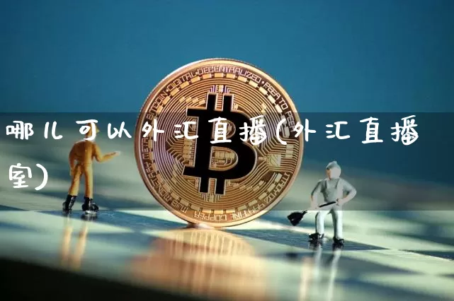 哪儿可以外汇直播(外汇直播室)_https://www.huakunhengjia.com_股票资讯_第1张