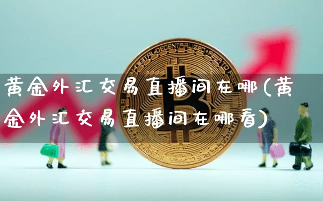 黄金外汇交易直播间在哪(黄金外汇交易直播间在哪看)_https://www.huakunhengjia.com_期货资讯_第1张