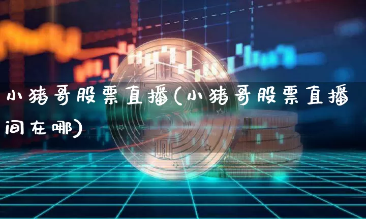 小猪哥股票直播(小猪哥股票直播间在哪)_https://www.huakunhengjia.com_金融资讯_第1张