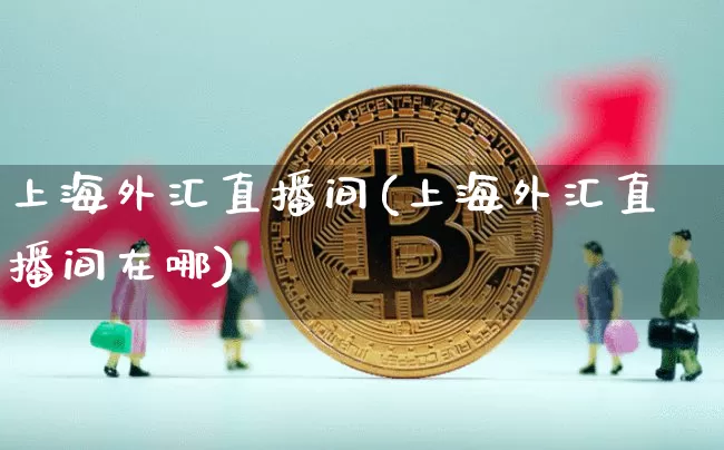 上海外汇直播间(上海外汇直播间在哪)_https://www.huakunhengjia.com_金融资讯_第1张