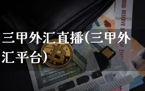三甲外汇直播(三甲外汇平台)_https://www.huakunhengjia.com_金融资讯_第1张