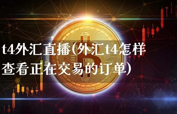 t4外汇直播(外汇t4怎样查看正在交易的订单)_https://www.huakunhengjia.com_财经资讯_第1张