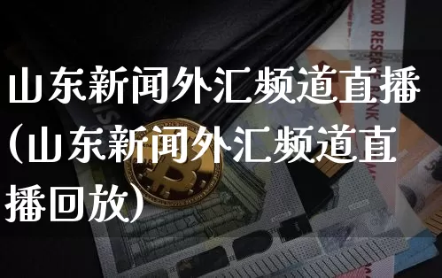 山东新闻外汇频道直播(山东新闻外汇频道直播回放)_https://www.huakunhengjia.com_股票资讯_第1张