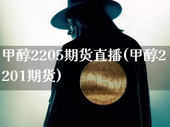 甲醇2205期货直播(甲醇2201期货)_https://www.huakunhengjia.com_期货资讯_第1张