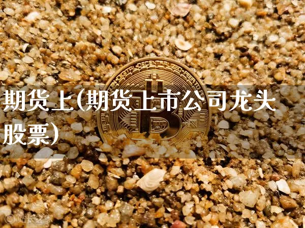 期货上(期货上市公司龙头股票)_https://www.huakunhengjia.com_股票资讯_第1张