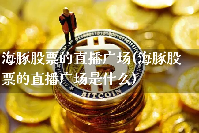 海豚股票的直播广场(海豚股票的直播广场是什么)_https://www.huakunhengjia.com_期货资讯_第1张