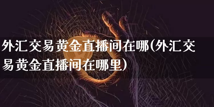 外汇交易黄金直播间在哪(外汇交易黄金直播间在哪里)_https://www.huakunhengjia.com_股票资讯_第1张