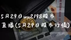 5月29日wu2198股市直播(5月29日股市行情)