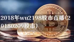 2018年wu2198股市直播(20180209股市)